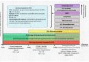 Лечение острых, угрожающих жизни обострений астмы в отделении интенсивной терапии