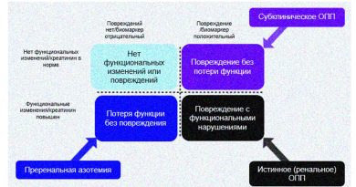 Профилактика острого почечного повреждения и его долгосрочных последствий Профилактика острого почечного повреждения и его долгосрочных последствий