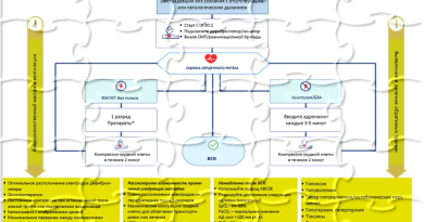 Расширенная сердечно-легочная реанимация взрослых.