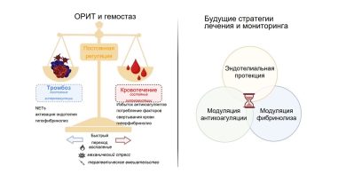 Нарушения свертываемости крови: от кровотечения до тромбоза