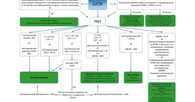 Прикроватная эхокардиография грудной клетки в отделении интенсивной терапии
