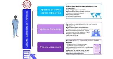 Текущие стандарты лечения септического шока.