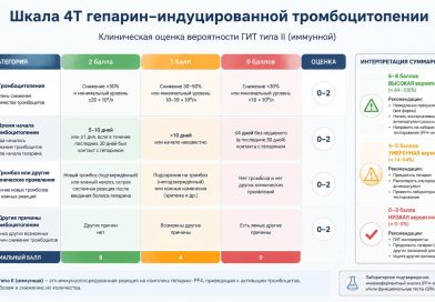 Правило 4 т