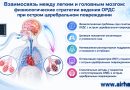 Взаимосвязь между легким и головным мозгом